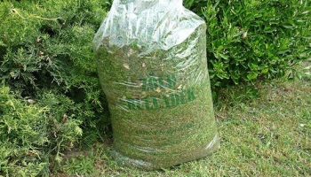 Tájékoztató - Zöldhulladék gyűjtésre alkalmas zsákok